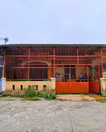 DIJUAL RUMAH AREA JALAN PEMUDA - TAMPAN, PAYUNG SEKAKI